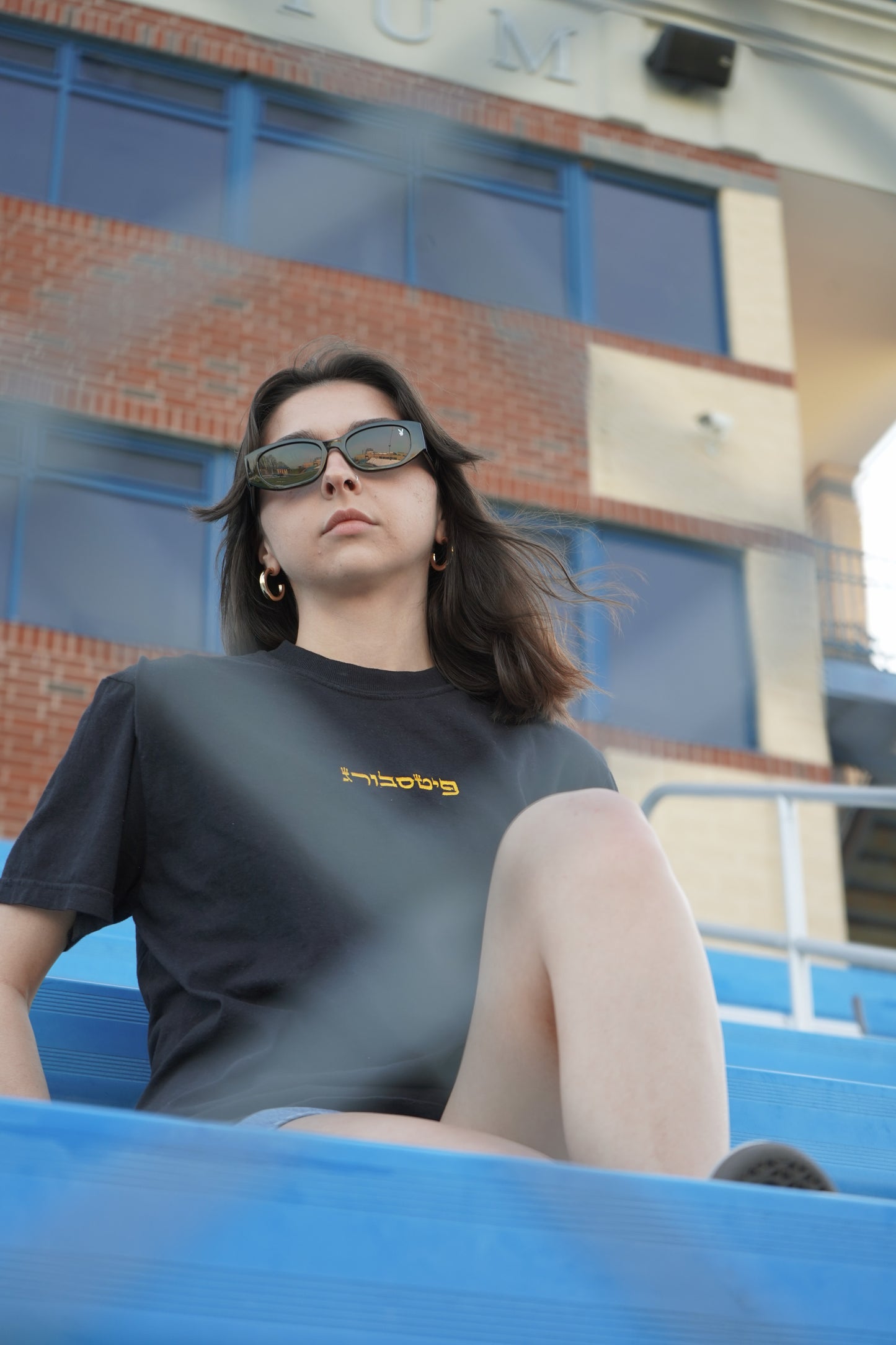 Pittsburgh - Embroidered Hebrew T-Shirt